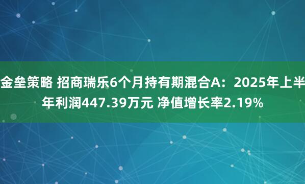 金垒策略 招商瑞乐6个月持有期混合A：2025年上半年利润447.39万元 净值增长率2.19%