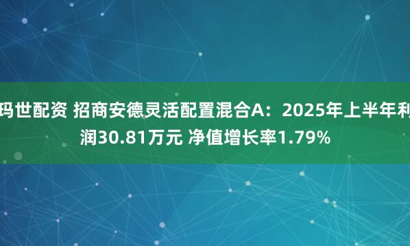 玛世配资 招商安德灵活配置混合A：2025年上半年利润30.81万元 净值增长率1.79%