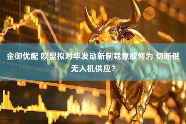 金御优配 欧盟拟对华发动新制裁意欲何为 切断俄无人机供应？