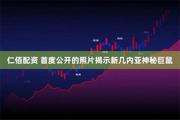 仁佰配资 首度公开的照片揭示新几内亚神秘巨鼠