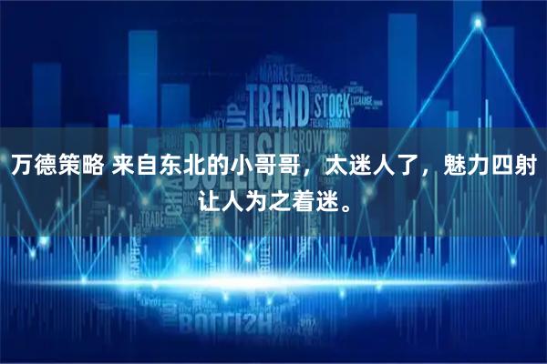 万德策略 来自东北的小哥哥，太迷人了，魅力四射让人为之着迷。